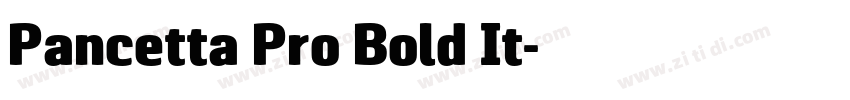 Pancetta Pro Bold It字体转换